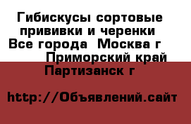 Гибискусы сортовые, прививки и черенки - Все города, Москва г.  »    . Приморский край,Партизанск г.